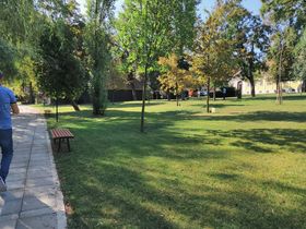 IMG_20200910_100314.jpg