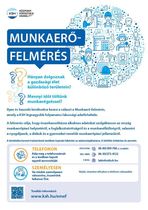 Munkaerőfelmérés